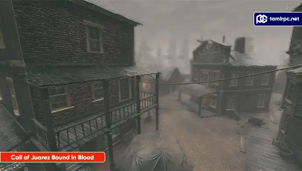 Call-of-Juarez-Bound-in-Blood-Screenshot2.webp