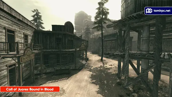 Call-of-Juarez-Bound-in-Blood-Screenshot3.webp