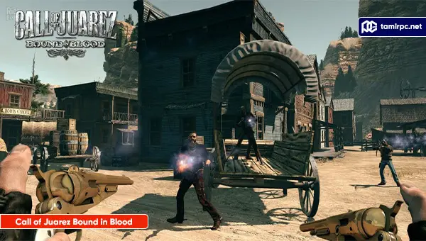 Call-of-Juarez-Bound-in-Blood-Screenshot4.webp