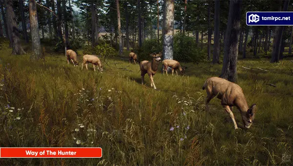 Way-of-The-Hunter-Screenshot2.webp