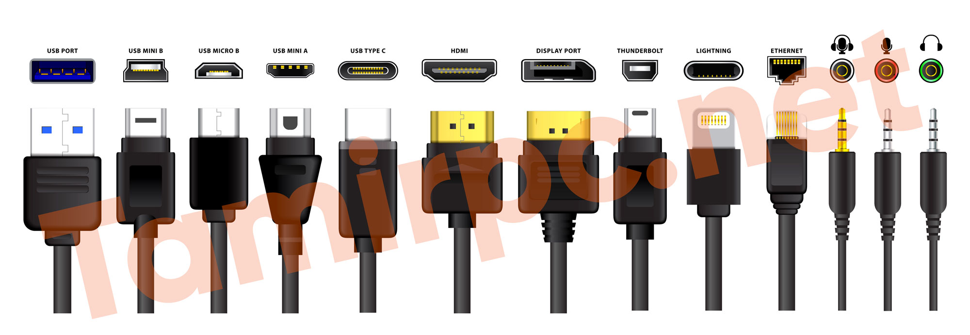 انواع مختلفی از Port های رایج