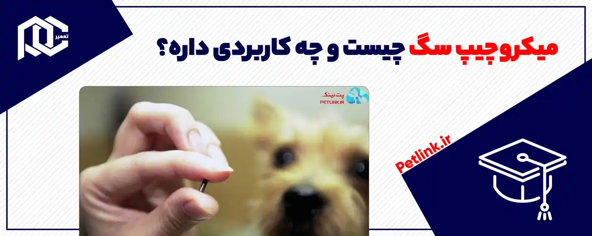 میکروچیپ سگ چیست و چه کاربردی داره؟
