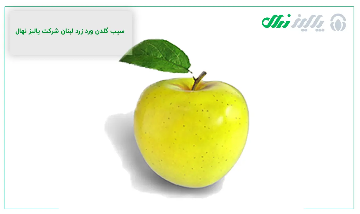 انواع سموم مناسبی که برای نابودی لکه سیاه درختان سیب استفاده میشوند انواع سموم مناسبی که برای نابودی لکه سیاه درختان سیب استفاده میشوند