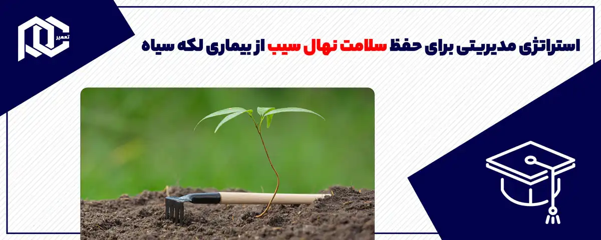 استراتژی مدیریتی برای حفظ سلامت نهال سیب از بیماری لکه سیاه