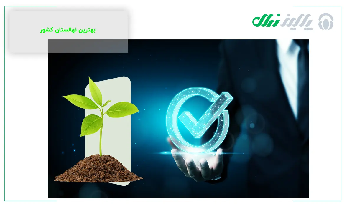 رکورد دار تولید نهال در کشور رکورد دار تولید نهال در کشور